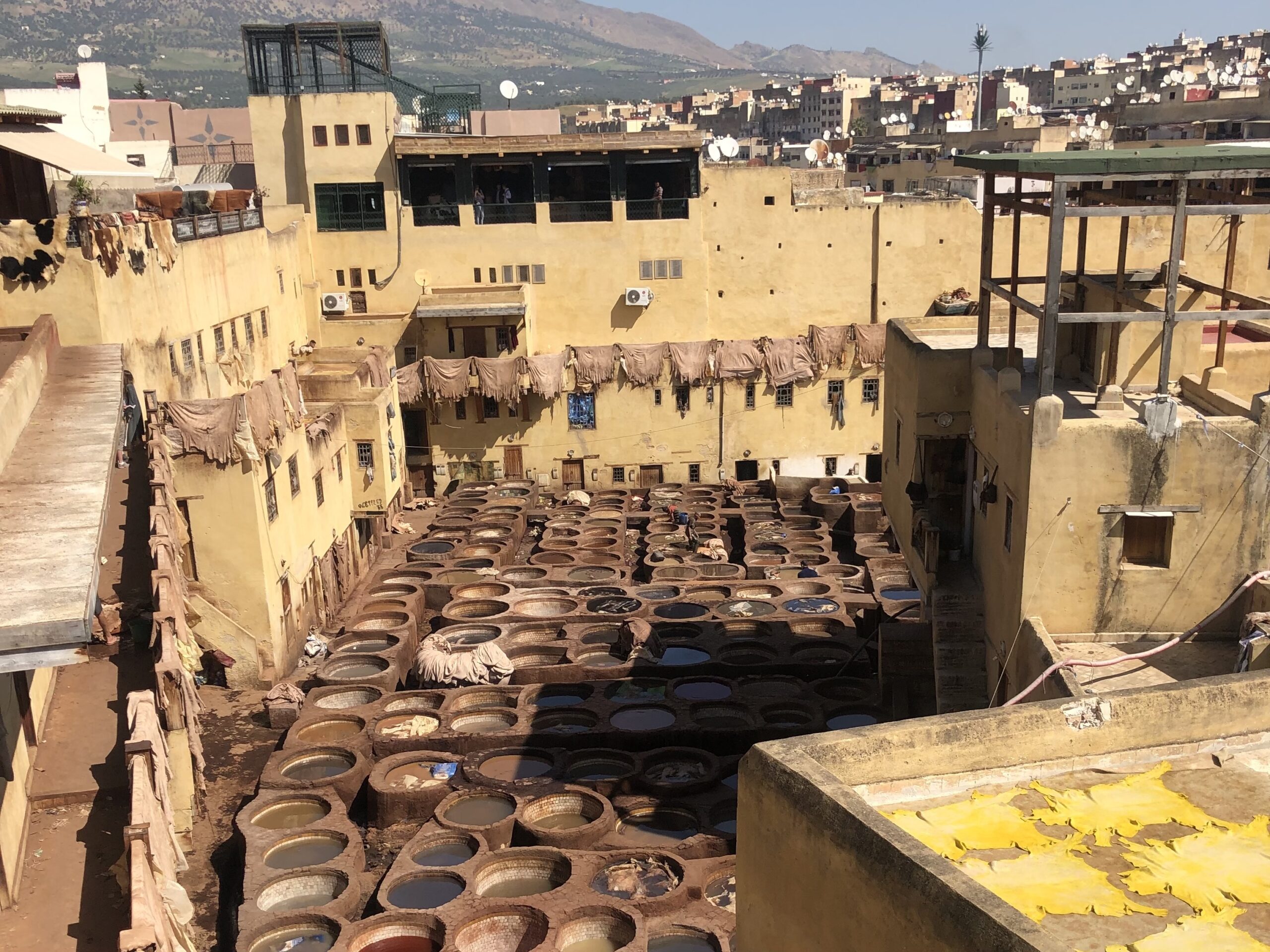 Najlepsze wino z Maroka