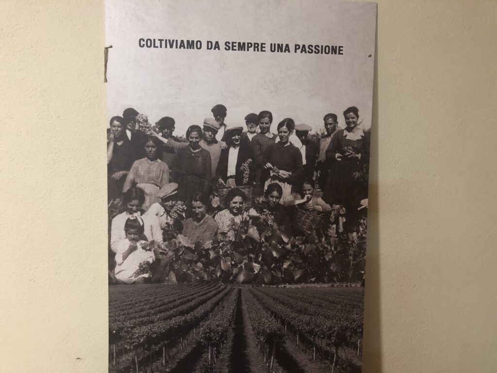 "Zawsze kultywowaliśmy pasję" - matka właścicielki stoi pośrodku, z winogronami w ręku, 1932 r.