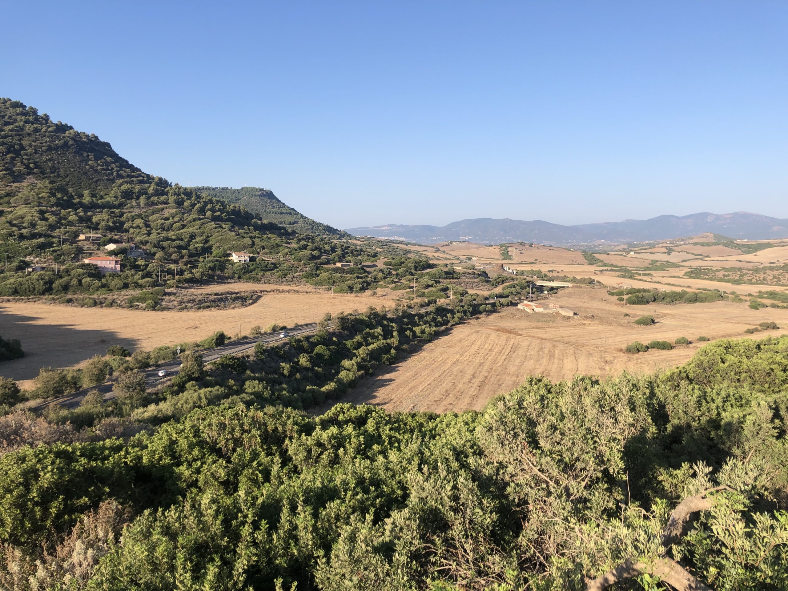 Wino z Sardynii. Cantina Ligios