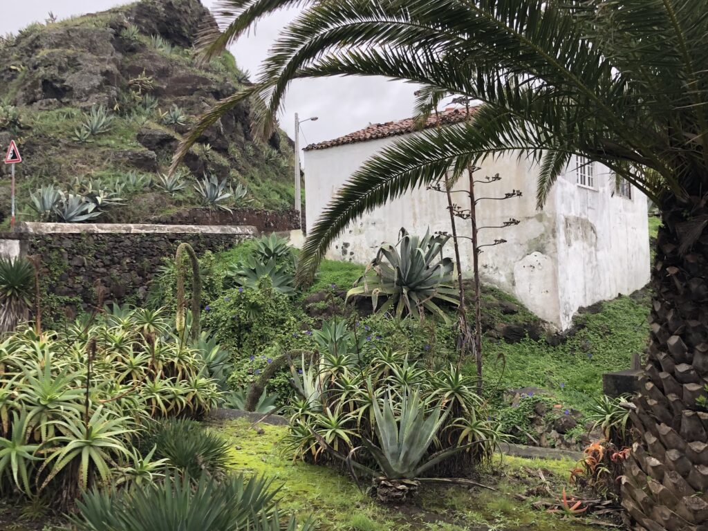 Droga z portu do Vila do Porto