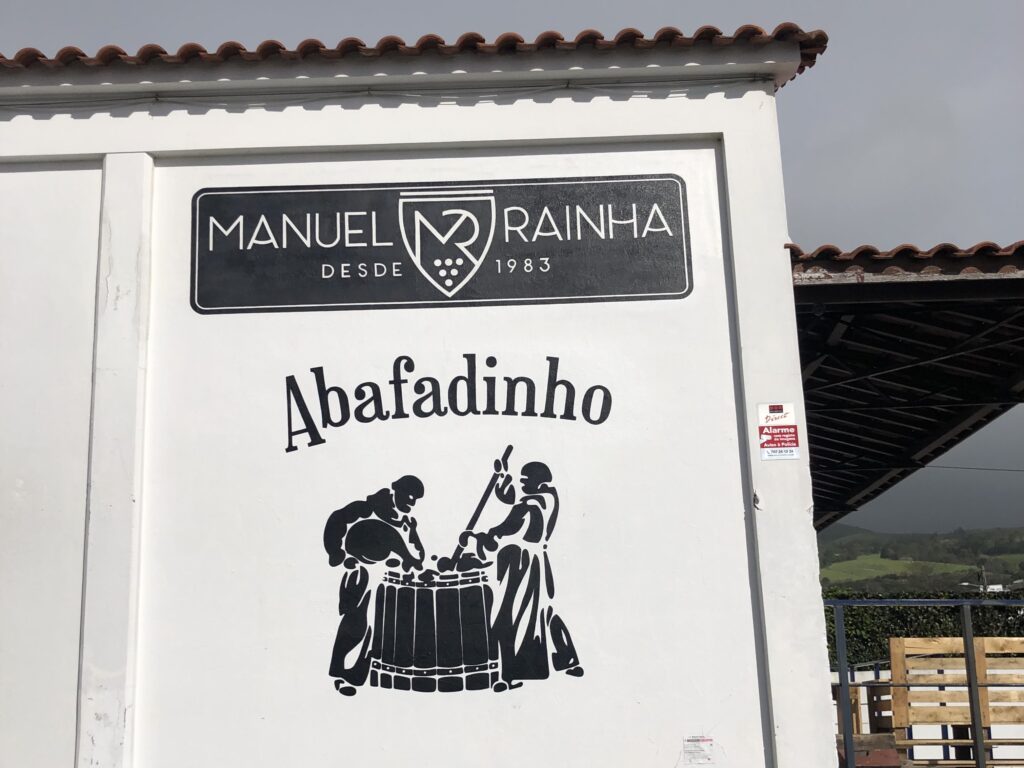 Wino z Azorów - Manuel Rainha